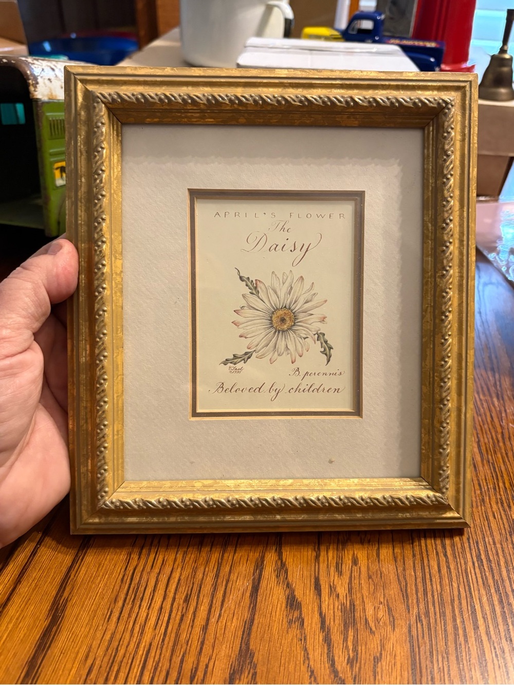 Framed Daisy Floral Art Print in Gold